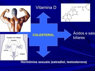 COLESTEROL
Vitamina D
Ácidos e sais
biliares
Hormônios sexuais (estradiol, testosterona)
 