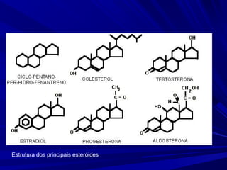Estrutura dos principais esteróides
 