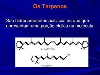 Os Terpenos
São hidrocarbonetos acíclicos ou que que
apresentam uma porção cíclica na molécula
 