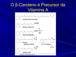 O β-Caroteno é Precursor da
Vitamina A
 