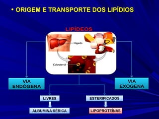 • ORIGEM E TRANSPORTE DOS LIPÍDIOSORIGEM E TRANSPORTE DOS LIPÍDIOS
 