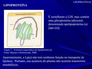LIPOPROTEÍNA (A)/ Lp (a)
É semelhante a LDL mas contém
uma glicoproteína adicional,
denominada apolipoproteína (a)
[apo (a)];
Aparentemente, a Lp(a) não tem nenhuma função no transporte de
lipídeos. Portanto, sua ausência do plasma não acarreta transtornos
metabólicos;
LIPOPROTEÍNAS
Figura 7 – Estrutura esquemática da lipoproteína (a)
Fonte: Baynes e Dominiczak, 2000.
 