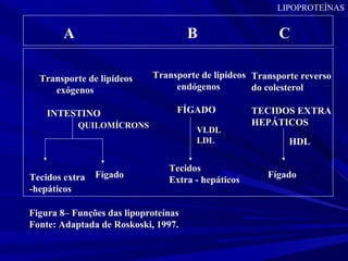 A B C
Transporte de lipídeos
exógenos
INTESTINO
Tecidos extra
-hepáticos
Transporte de lipídeos
endógenos
FÍGADO
Tecidos
Extra - hepáticos
Fígado
VLDL
LDL
Transporte reverso
do colesterol
TECIDOS EXTRA
HEPÁTICOS
Fígado
Figura 8– Funções das lipoproteínas
Fonte: Adaptada de Roskoski, 1997.
LIPOPROTEÍNAS
QUILOMÍCRONS
HDL
 