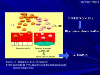 ATEROMA
Figura 12 – Receptores LDL e Scavenger
Fonte: adaptada de www.geocities.com/bioquimicaaplicada/
resumoslipoproteinas
LIPOPROTEÍNAS
DEFEITO DO LDLr
Hipercolesterolemia familiar
 