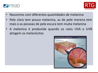 • Nascemos com diferentes quantidades de melanina
• Pele clara tem pouca melanina, as de pele morena tem
mais e as pessoas de pele escura tem muita melanina
• A melanina é produzida quando os raios UVA e UVB
atingem os melanócitos
 