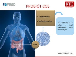 PROBIÓTICOS
.
Good
✓ Lactobacillus
✓ Bifidobacterium
íleo terminal e o
cólon = local
preferência para
colonização.
WAITZBERG, 2011
 