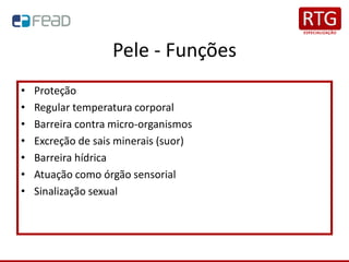 Pele - Funções
• Proteção
• Regular temperatura corporal
• Barreira contra micro-organismos
• Excreção de sais minerais (suor)
• Barreira hídrica
• Atuação como órgão sensorial
• Sinalização sexual
 