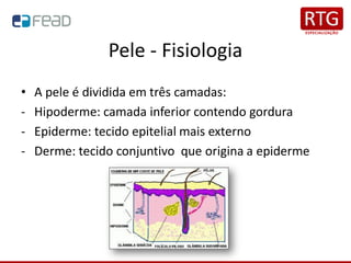 Pele - Fisiologia
• A pele é dividida em três camadas:
- Hipoderme: camada inferior contendo gordura
- Epiderme: tecido epitelial mais externo
- Derme: tecido conjuntivo que origina a epiderme
 