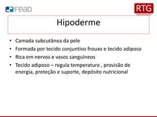 Hipoderme
• Camada subcutânea da pele
• Formada por tecido conjuntivo frouxo e tecido adiposo
• Rica em nervos e vasos sanguíneos
• Tecido adiposo – regula temperatura , provisão de
energia, proteção e suporte, depósito nutricional
 