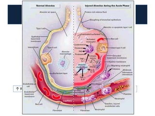 Temperatura >38 ou <36oC