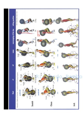 Riccardo RamboRiccardo Rambo
 