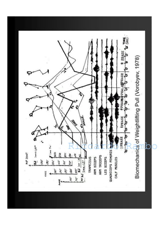 Riccardo RamboRiccardo Rambo
 