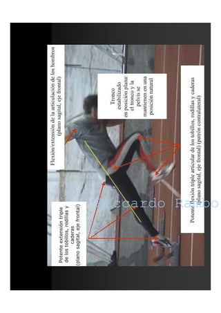 Riccardo RamboRiccardo Rambo
 