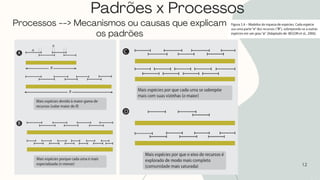 Padrões x Processos
12
Processos --> Mecanismos ou causas que explicam
os padrões
 