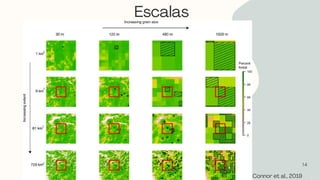 Escalas
14
Connor et al., 2019
 