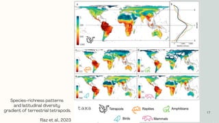 17
Species-richness patterns
and latitudinal diversity
gradient of terrestrial tetrapods.
Raz et al., 2023
 