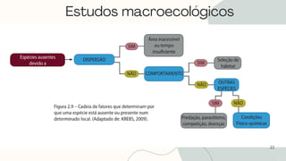 22
Estudos macroecológicos
 