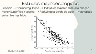 24
Princípio --> termorregulação --> Indivíduos maiores têm uma relação
menor superfície x volume --> Reduzindo a perda de calor --> Vantajoso
em ambientes frios.
Blackburn et al., 2004
Estudos macroecológicos
 