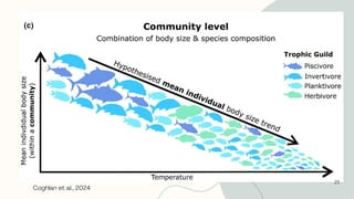 25
Coghlan et al., 2024
 