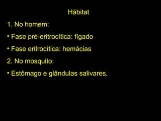 Hábitat 1. No homem: Fase pré-eritrocítica: fígado Fase eritrocítica: hemácias 2. No mosquito: Estômago e glândulas salivares. 