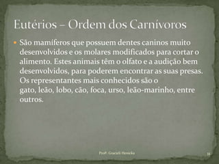  São mamíferos que possuem dentes caninos muito
desenvolvidos e os molares modificados para cortar o
alimento. Estes animais têm o olfato e a audição bem
desenvolvidos, para poderem encontrar as suas presas.
Os representantes mais conhecidos são o
gato, leão, lobo, cão, foca, urso, leão-marinho, entre
outros.
11Profª. Gracieli Henicka
 