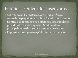  Sobretudo no Hemisfério Norte, Índia e África.
Animais de pequeno tamanho e focinho pontiagudo.
Dentição com caninos não diferenciados, e molares
providos de cúspides agudas. Se alimentam
principalmente de insetos e também de vermes.
 Representantes: porco-espinho, ouriço e toupeiras.
13Profª. Gracieli Henicka
 