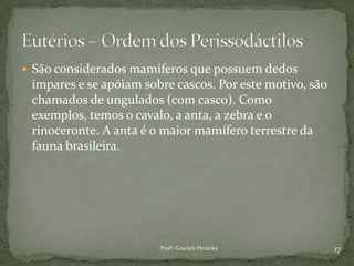  São considerados mamíferos que possuem dedos
ímpares e se apóiam sobre cascos. Por este motivo, são
chamados de ungulados (com casco). Como
exemplos, temos o cavalo, a anta, a zebra e o
rinoceronte. A anta é o maior mamífero terrestre da
fauna brasileira.
17Profª. Gracieli Henicka
 