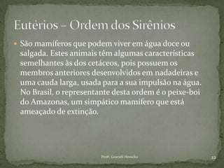  São mamíferos que podem viver em água doce ou
salgada. Estes animais têm algumas características
semelhantes às dos cetáceos, pois possuem os
membros anteriores desenvolvidos em nadadeiras e
uma cauda larga, usada para a sua impulsão na água.
No Brasil, o representante desta ordem é o peixe-boi
do Amazonas, um simpático mamífero que está
ameaçado de extinção.
22Profª. Gracieli Henicka
 