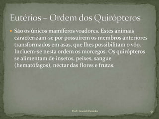  São os únicos mamíferos voadores. Estes animais
caracterizam-se por possuírem os membros anteriores
transformados em asas, que lhes possibilitam o vôo.
Incluem-se nesta ordem os morcegos. Os quirópteros
se alimentam de insetos, peixes, sangue
(hematófagos), néctar das flores e frutas.
9Profª. Gracieli Henicka
 