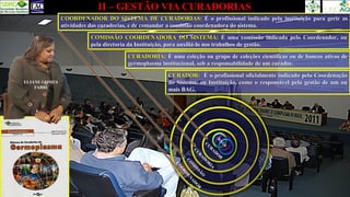 II – GESTÃO VIA CURADORIAS
COORDENADOR DO SISTEMA DE CURADORIAS: É o profissional indicado pela instituição para gerir as
atividades das curadorias, e de comandar a comissão coordenadora do sistema.
CURADORIA: É uma coleção ou grupo de coleções científicas ou de bancos ativos de
germoplasma institucional, sob a responsabilidade de um curador.
CURADOR: É o profissional oficialmente indicado pela Coordenação
do Sistema, ou Instituição, como o responsável pela gestão de um ou
mais BAG.
COMISSÃO COORDENADORA DO SISTEMA: É uma comissão indicada pelo Coordenador, ou
pela diretoria da Instituição, para auxiliá-lo nos trabalhos de gestão.
ELIANE GOMES
FABRI
 