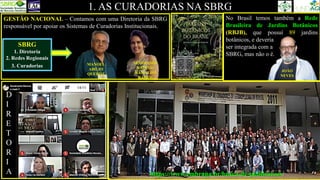 SBRG
1. Diretoria
2. Redes Regionais
3. Curadorias
1. AS CURADORIAS NA SBRG
SEMÍRAMIS
RABELO
RAMALHO
RAMOS
https://www.embrapa.br/busca-de-publicacoes/
MANOEL
ABILIO
QUERÓZ
GESTÃO NACIONAL – Contamos com uma Diretoria da SBRG
responsável por apoiar os Sistemas de Curadorias Institucionais.
No Brasil temos também a Rede
Brasileira de Jardins Botânicos
(RBJB), que possuí 89 jardins
botânicos, e deveria
ser integrada com a
SBRG, mas não o é.
JOÃO
NEVES
D
I
R
E
T
O
R
I
A
 