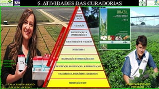 5. ATIVIDADES DAS CURADORIAS
ALISSON FERNANDO
CHIORATO
Embalagens
hermeticamente
vedadas.
VÂNIA CRISTINA RENNÓ
AZEVEDO - ICRISAT
 