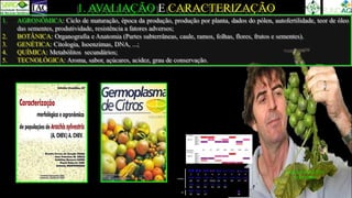 1. AVALIAÇÃO E CARACTERIZAÇÃO
CARLOS AUGUSTO
COLOMBO
1. AGRONÔMICA: Ciclo de maturação, época da produção, produção por planta, dados do pólen, autofertilidade, teor de óleo
das sementes, produtividade, resistência a fatores adversos;
2. BOTÂNICA: Organografia e Anatomia (Partes subterrâneas, caule, ramos, folhas, flores, frutos e sementes).
3. GENÉTICA: Citologia, Isoenzimas, DNA, ...;
4. QUÍMICA: Metabólitos secundários;
5. TECNOLÓGICA: Aroma, sabor, açúcares, acidez, grau de conservação.
 