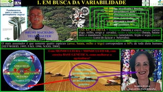 1. EM BUSCA DA VARIABILIDADE
15 spp. constituem 90%
300.000 spp. identificadas e descritas;
30.000 potencialmente úteis;
7.000 alimentaram o mundo;
120 alimentam o mundo;
200 foram domesticadas;
(AS XV DA DIETA = frutíferas (banana e coco), cereais (arroz,
trigo, milho, sorgo e cevada); raízes e tubérculos (batata, batata-
doce e mandioca); leguminosas (amendoim, feijão e soja) plantas
açucareiras (cana-de-açúcar e beterraba).
SPP. SILVESTRES
CV. PRIMITIVAS
LINHAS MELH.
CV.
MUTAÇÕES
CV.OBSOLETAS
BASE GENÉTICA
DOMESTICAÇÃO
SPP.
SILVESTRES
Com MONOCULTURA + MONOCULTIVAR, com
estreita BASE GENÉTICA, como melhorar a
agricultura?
O mais assustador é que somente quatro espécies (arroz, batata, milho e trigo) correspondem a 60% de toda dieta humana
[HEYWOOD, 1995; FAO, 1996; NASS, 2008].
MARIA ELISA
ZAGATTO PATERNIANI
Incorporando
germopasma com
maior base genética
ao melhoramento
genético
BRUNO MACHADO
TELES WALTER
 