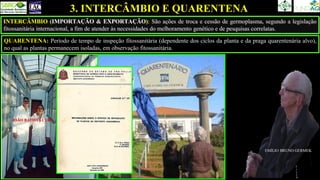 INTERCÂMBIO (IMPORTAÇÃO & EXPORTAÇÃO): São ações de troca e cessão de germoplasma, segundo a legislação
fitossanitária internacional, a fim de atender às necessidades do melhoramento genético e de pesquisas correlatas.
JOÃO BATISTA CURT
EMÍLIO BRUNO GERMEK
QUARENTENA: Período de tempo de inspeção fitossanitária (dependente dos ciclos da planta e da praga quarentenária alvo),
no qual as plantas permanecem isoladas, em observação fitossanitária.
3. INTERCÂMBIO E QUARENTENA
 