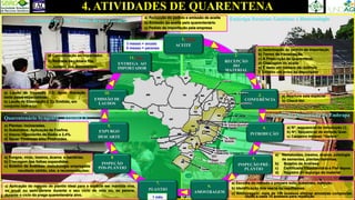 4. ATIVIDADES DE QUARENTENA
a) Deferimento do pedido de importação
b) Termo de Fiscalização
c) A Prescrição de Quarentena;
d) Checagem do aceite
e) É dado um número de controle
f) Emitido um aviso ao importador
a) Abertura sala especial
b) Check list
a) No. sequencial de introdução (I) .
b) No. Sequencial de entrada Quar.
c) Cadastro Intranet “Germo”.
a) Nematoides, insetos, ácaros, patologia
de sementes, plantas daninhas.
b) Boletim de Análises.
c) Certificado Fitossanitário e Fiel depos.
d) Registro do expurgo do material
a) Escolha do método e preparo solo, substrato, nutrição.
b) Identificação dos vasos ou vasilhames.
c) Amostragem: mais de 100 acessos efetivar amostras compostas
(bulk) a cada 10 acessos para repetição
a) Fungos, vírus, insetos, ácaros e bactérias.
b) Checagem das folhas expandidas.
c) Boletim de Análises: metodologia empregada
resultado obtido, obs. e recomendações;
a) Plantas: incineradas.
b) Substratos: Aplicação de Fosfina.
c) Vasos: Hipoclorito de Sódio a 2,4%.
d) Salas: Piretrinas e/ou Piretroides.
a) Laudo de Inspeção (LI): Após liberação
dada pelos especialistas.
b) Laudo de Eliminação (LE): Emitido, em
conjunto com o LI.
a) Recepção do pedido e emissão de aceite
b) Emissão do aceite pelo quarentenário
c) Pedido de importação pela empresa
3 meses = anuais
6 meses = perenes
a) Aplicação do método de plantio ideal para a espécie ser mantida viva,
se anual ou semi-perene durante o seu ciclo de vida ou, se perene,
durante o ciclo da praga quarentenária alvo.
11.
ENTREGA AO
IMPORTADOR
2.
RECEPÇÃO
DO
MATERIAL
3.
CONFERÊNCIA
4.
INTRODUÇÃO
5.
INSPEÇÃO PRÉ-
PLANTIO
6.
AMOSTRAGEM
8
INSPEÇÃO
PÓS-PLANTIO
7.
PLANTIO
9.
EXPURGO
DESCARTE
10.
EMISSÃO DE
LAUDOS
1.
ACEITE
a) Comunicação ao importador.
b) Retirada da câmara fria.
c) Juntada dos documentos.
Embrapa Recursos Genéticos e Biotecnologia
Centro de Quarentena da Embrapa
Quarentenário – IAC “Emílio Bruno Germek”
Fim
Início
Quarentenário Syngenta _ Aracati CE
1 mês
 