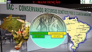 BIOMAS
CONSERVAÇÃO
IN SITU
PRESERVAÇÃO
EX SITU
V - MANUTENÇÃO
 