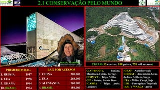 2.1 CONSERVAÇÃO PELO MUNDO
BAG POR ACESSOS
1. CHINA 300.000
2. EUA 268.000
3. ALEMANHA 160.000
4. BRASIL 150.000
PRIMEIROS BAG
1. RÚSSIA 1917
2. EUA 1958
3. GHANA 1964
10. BRASIL 1974
ROSA LIA BARBIERI
Svalbard Global Seed Vault - Noruega
CIAT/BIODIV. Banana,
Mandioca, Feijão, Forrag.
CIMMYT - Trigo, Milho
CIP - Batata, Batata Doce.
ICARDA - Trigo, Aveia,
Legumes
ICRAF - Agroflorestais
ICRISAT - Amendoim, Grão-
de-bico, Milheto, Sorgo
IITA - Milho, Caupi, Soja
ILRI - Forrageiras Tropicais
IRRI e WARDA - Arroz
CGIAR (15 centros, 108 países, 770 mil acessos)
 
