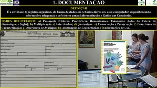 1. DOCUMENTAÇÃO
DEFINIÇÃO
É a atividade de registro organizado do banco de dados em fichários, livros ata, e/ou computador, disponibilizando
informações adequadas e suficientes para a Informatização e Gestão das Curadorias.
DADOS REGISTRADOS: a) Passaporte [Origem, Procedência, Denominações, Taxonomia, dados da Coleta, de
Genealogia, e Siglas]; b) Multiplicação; c) Intercâmbio; d) Quarentena; e) Conservação e Preservação; f) Descritores de
Caracterização; g) Descritores de Avaliação; h) Informações de Regeneração; e i) Informações de Uso.
 