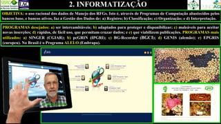 2. INFORMATIZAÇÃO
OBJETIVA: o uso racional dos dados de Manejo dos RFGs. Isto é, através de Programas de Computação abastecidos pelos
bancos base, e bancos ativos, faz a Gestão dos Dados de: a) Registro; b) Classificação; c) Organização; e d) Interpretação.
PROGRAMAS desejados: a) ser intercambiáveis; b) adaptados para proteger e disponibilizar; c) maleáveis para aceitar
novas inserções; d) rápidos, de fácil uso, que permitam cruzar dados; e e) que viabilizem publicações. PROGRAMAS mais
utilizados: a) SINGER (CGIAR); b) pcGRIN (IPGRI); c) BG-Recorder (BGCI); d) GENIS (alemão); e) EPGRIS
(europeu). No Brasil é o Programa ALELO (Embrapa).
IVO SIAS COSTA
 
