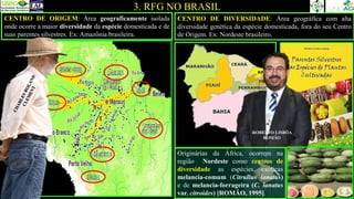 3. RFG NO BRASIL
CENTRO DE ORIGEM: Área geograficamente isolada
onde ocorre a maior diversidade da espécie domesticada e de
suas parentes silvestres. Ex: Amazônia brasileira.
CENTRO DE DIVERSIDADE: Área geográfica com alta
diversidade genética da espécie domesticada, fora do seu Centro
de Origem. Ex: Nordeste brasileiro.
Originárias da África, ocorrem na
região Nordeste como centros de
diversidade as espécies exóticas
melancia-comum (Citrullus lanatus)
e de melancia-forrageira (C. lanatus
var. citroides) [ROMÃO, 1995].
ROBERTO LISBÔA
ROMÃO
 