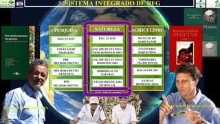 5. SISTEMA INTEGRADO DE RFG
BAG EX SITU
COLEÇÃO DE
TRABALHO
PRÉ
MELHORAMENTO
MELHORAMENTO
GENÉTICO
NATIVAS
DOMESTICADAS
CULTIVARES
ESQUECIDAS
VARIEDADES
TRADICIONAIS
RAÇAS LOCAIS
SELEÇÃO DO
AGRICULTOR
PÓS
MELHORAMENTO
BAG IN SITU
HIBRIDIZAÇÃO
NATURAL
ESCAPE DE CULTIVO
DOMESTICADO
ESCAPE DE CULTIVO
SEMI DOMESTICADO
NÃO DOMESTICADO
POTENCIAL
MAURÍCIO ANTÔNIO LOPES
LUCIANO LOURENÇO NASS
 
