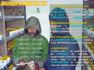 ERVILHA = 130 ANOSERVILHA = 130 ANOS
QUIABO = 125 ANOSQUIABO = 125 ANOS
TOMATE = 124 ANOSTOMATE = 124 ANOS
CEVADA = 123 ANOSCEVADA = 123 ANOS
AVEIA = 123 ANOSAVEIA = 123 ANOS
PERIODICIDADE MONITORAÇÃOPERIODICIDADE MONITORAÇÃO::
a)a) 10 anos10 anos se incorporados comse incorporados com
VIABILIDADEVIABILIDADE inicialinicial ACIMAACIMA dede 85%.85%.
b)b) 5 anos5 anos se incorporados comse incorporados com
VIABILIDADEVIABILIDADE inicialinicial ABAIXOABAIXO dede 85%.85%.
REGENERAÇÃO DOS ACESSOSREGENERAÇÃO DOS ACESSOS::
a)a)quando aquando a VIABILIDADE dasVIABILIDADE das
sementessementes forfor REDUZIDA paraREDUZIDA para 85%85% dodo
PODER GERMINATIVO inicial.PODER GERMINATIVO inicial.
MULTIPLICAÇÃO DOS ACESSOSMULTIPLICAÇÃO DOS ACESSOS::
a) oa) o NÚMERO DE SEMENTESNÚMERO DE SEMENTES total setotal se
tornatorna INFERIOR ao padrão aceitávelINFERIOR ao padrão aceitável..
LONGEVIDADELONGEVIDADE::
a)a) Para cadaPara cada 1%1% de aumento no teorde aumento no teor
dede UMIDADEUMIDADE da semente, ada semente, a
longevidade é reduzida pela metade.longevidade é reduzida pela metade.
b)b)Para cadaPara cada 55OOCC de aumento nade aumento na
TEMPERATURATEMPERATURA a longevidade éa longevidade é
reduzida também pela metade.reduzida também pela metade.
 