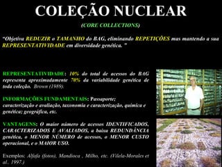 COLEÇÃO NUCLEAR
(CORE COLLECTIONS)
““ObjetivaObjetiva REDUZIRREDUZIR oo TAMANHOTAMANHO do BAG, eliminandodo BAG, eliminando REPETIÇÕESREPETIÇÕES mas mantendo a suamas mantendo a sua
REPRESENTATIVIDADEREPRESENTATIVIDADE em diversidade genética. ”em diversidade genética. ”
REPRESENTATIVIDADEREPRESENTATIVIDADE:: 10%10% do total de acessos do BAGdo total de acessos do BAG
representa aproximadamenterepresenta aproximadamente 70%70% da variabilidade genética deda variabilidade genética de
toda coleção.toda coleção. Brown (1989).
INFORMAÇÕES FUNDAMENTAISINFORMAÇÕES FUNDAMENTAIS: P: Passaporte;assaporte;
caracterização e avaliação, taxonomia e caracterização, química ecaracterização e avaliação, taxonomia e caracterização, química e
genética; geográfica, etc.genética; geográfica, etc.
VANTAGENSVANTAGENS:: O maior número de acessos IDENTIFICADOS,O maior número de acessos IDENTIFICADOS,
CARACTERIZADOS E AVALIADOS, a baixa REDUNDÂNCIACARACTERIZADOS E AVALIADOS, a baixa REDUNDÂNCIA
genética, o MENOR NÚMERO de acessos, o MENOR CUSTOgenética, o MENOR NÚMERO de acessos, o MENOR CUSTO
operacional, e o MAIOR USO.operacional, e o MAIOR USO.
Exemplos: Alfafa (fotos), Mandioca , Milho, etc. (Vilela-Morales et
al.. 1997.)
 