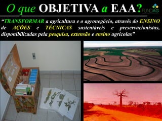 O queO que OBJETIVAOBJETIVA aa EAAEAA??O queO que OBJETIVAOBJETIVA aa EAAEAA??
“TRANSFORMAR a agricultura e o agronegócio, através do ENSINO
de AÇÕES e TÉCNICAS sustentáveis e preservacionistas,
disponibilizadas pela pesquisa, extensão e ensino agrícolas”
 