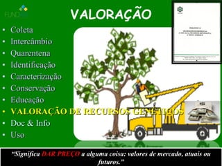 VALORAÇÃO
• ColetaColeta
• IntercâmbioIntercâmbio
• QuarentenaQuarentena
• IdentificaçãoIdentificação
• CaracterizaçãoCaracterização
• ConservaçãoConservação
• EducaçãoEducação
• VALORAÇÃO DE RECURSOS GENÉTICOSVALORAÇÃO DE RECURSOS GENÉTICOS
• Doc & InfoDoc & Info
• UsoUso
““SignificaSignifica DAR PREÇODAR PREÇO a alguma coisa: valores de mercado, atuais oua alguma coisa: valores de mercado, atuais ou
futuros.”futuros.”
 
