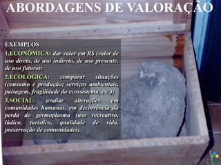 ABORDAGENS DE VALORAÇÃO
EXEMPLOSEXEMPLOS
1.1.ECONÔMICA:ECONÔMICA: dar valor em R$ (valor dedar valor em R$ (valor de
uso direto, de uso indireto, de uso presente,uso direto, de uso indireto, de uso presente,
de uso futuro);de uso futuro);
2.2.ECOLÓGICA:ECOLÓGICA: comparar situaçõescomparar situações
(consumo e produção; serviços ambientais,(consumo e produção; serviços ambientais,
paisagem, fragilidade do ecossistema, etc.);paisagem, fragilidade do ecossistema, etc.);
3.3.SOCIAL:SOCIAL: avaliar alterações emavaliar alterações em
comunidades humanas, em decorrência dacomunidades humanas, em decorrência da
perda do germoplasma (uso recreativo,perda do germoplasma (uso recreativo,
lúdico, turístico, qualidade de vida,lúdico, turístico, qualidade de vida,
preservação de comunidades).preservação de comunidades).
EXEMPLOSEXEMPLOS
1.1.ECONÔMICA:ECONÔMICA: dar valor em R$ (valor dedar valor em R$ (valor de
uso direto, de uso indireto, de uso presente,uso direto, de uso indireto, de uso presente,
de uso futuro);de uso futuro);
2.2.ECOLÓGICA:ECOLÓGICA: comparar situaçõescomparar situações
(consumo e produção; serviços ambientais,(consumo e produção; serviços ambientais,
paisagem, fragilidade do ecossistema, etc.);paisagem, fragilidade do ecossistema, etc.);
3.3.SOCIAL:SOCIAL: avaliar alterações emavaliar alterações em
comunidades humanas, em decorrência dacomunidades humanas, em decorrência da
perda do germoplasma (uso recreativo,perda do germoplasma (uso recreativo,
lúdico, turístico, qualidade de vida,lúdico, turístico, qualidade de vida,
preservação de comunidades).preservação de comunidades).
 