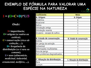 II = (= (OO++CC++DD)*)*UU//33
Onde:Onde:
II= importância;= importância;
OO= origem (= origem (se nativa ouse nativa ou
exóticaexótica););
CC= conservação (= conservação (risco derisco de
extinção, ...extinção, ...););
DD= frequência de= frequência de
distribuição (distribuição (se é rara ouse é rara ou
comumcomum););
UU= usos (= usos (alimentício,alimentício,
medicinal, industrial,medicinal, industrial,
ornamental, melíferoornamental, melífero, ...)., ...).
EXEMPLO DE FÓRMULA PARA VALORAR UMA
ESPÉCIE NA NATUREZA
 