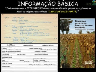 INFORMAÇÃO BÁSICA
““Tudo começa com a INTRODUÇÃO do acesso na instituição, quando se registram osTudo começa com a INTRODUÇÃO do acesso na instituição, quando se registram os
dados de origem e procedência (dados de origem e procedência (DADOS DE PASSAPORTEDADOS DE PASSAPORTE))””
 