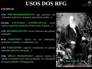 :
Dom Pedro II 1861Dom Pedro II 1861
Floresta da Tijuca - RJFloresta da Tijuca - RJ
USOS DOS RFG
EXEMPLOS
a.No PRÉ-MELHORAMENTO: spp. parentes das
cultivadas, cultivares em desuso (amendoim, melão,...);
b.Como CULTURAS ALTERNATIVAS: novas
espécies agrícolas potenciais (Camu-camu, Cagaita,...);
c.No MELHORAMENTO: novas cultivares das plantas
cultivadas;
d.Na INDÚSTRIA: opções de uso alimentício,
medicinal, aromático, condimentar, etc.;
e.No PAISAGÍSMO: espécies ornamentais de plantas
agrícolas (abacaxi, maracujá,...);
f.Em ÁREAS DEGRADADAS: espécies nativas de
rápido crescimento com raízes profundas. Ex: Amendoim
forrageiro, Bambu, Calopogonium...
 